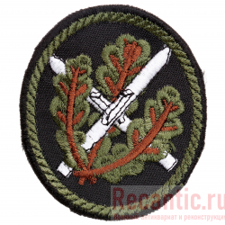Нашивка бойца из лыжно-стрелковой дивизии (Skijäger-Division)