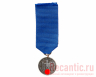 Медаль "За верную службу в Вермахте - 12 лет" #2