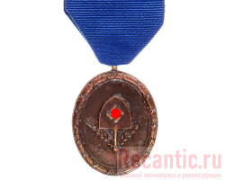 Медаль для мужчин "За верную службу в РАД-4 года" #2