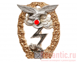 Знак Luftwaffe "За наземный бой" (50 дней боёв) #2